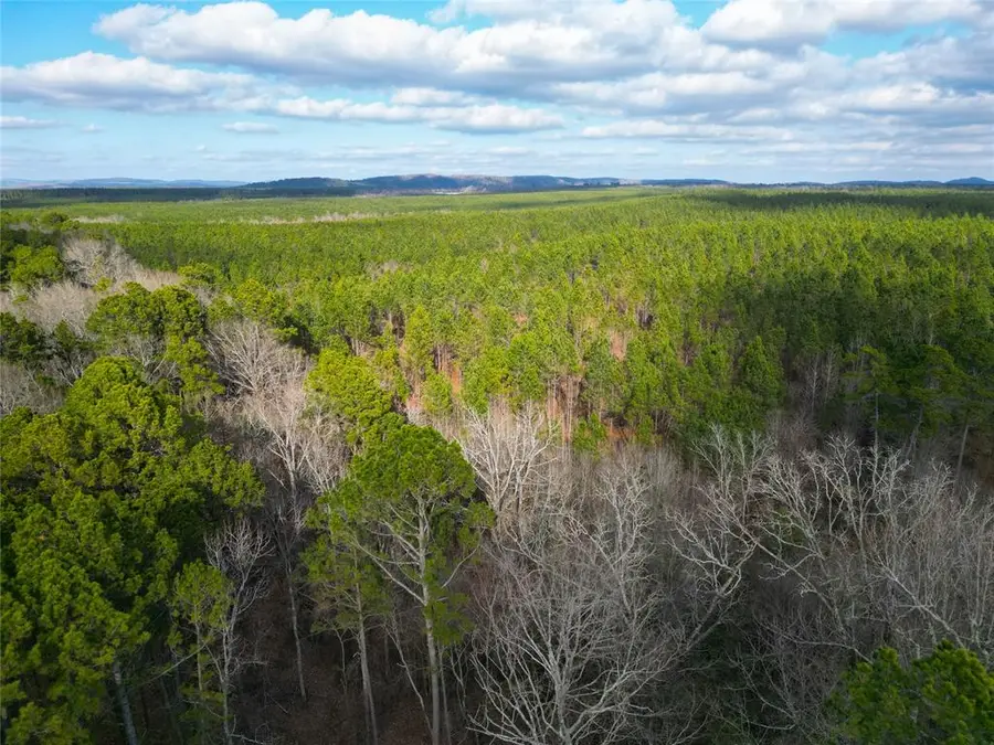 777 Johnny Beavers Trail Road, Broken Bow, OK 74728 - #3