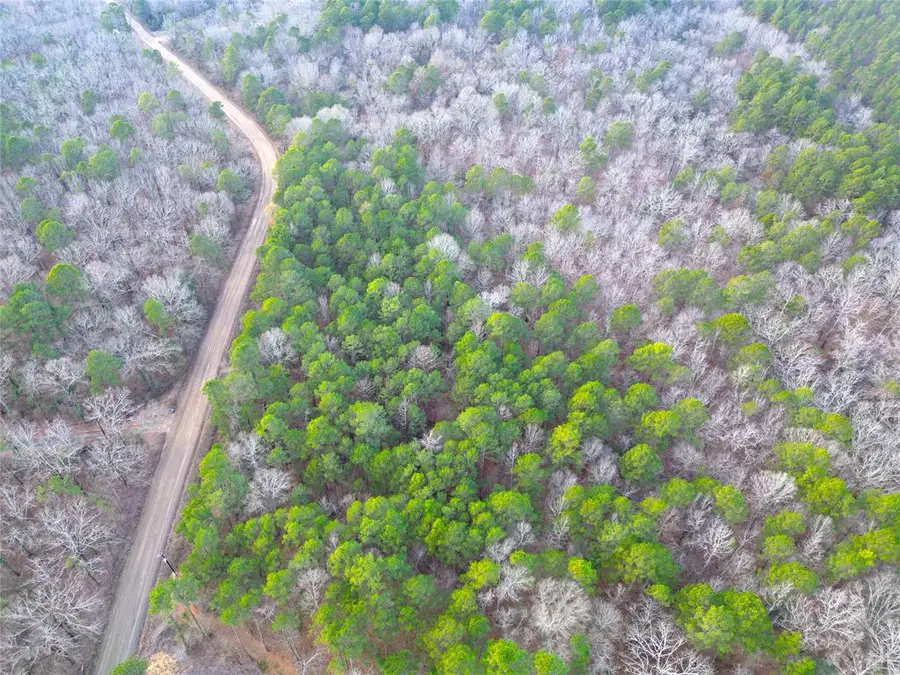 743 Johnny Beavers Trail Road, Broken Bow, OK 74728 - #2