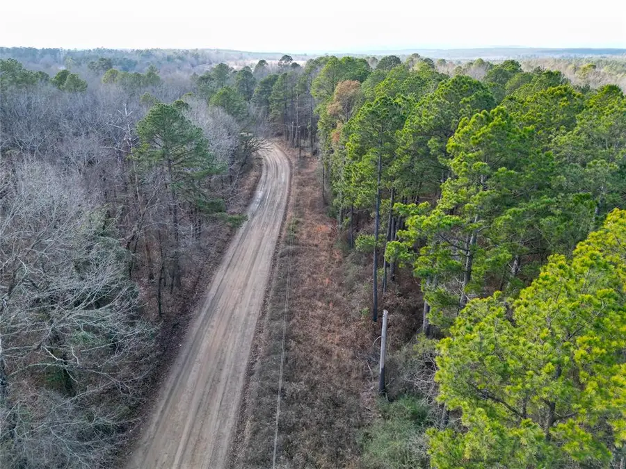 694 Johnny Beavers Trail Road, Broken Bow, OK 74728 - #3