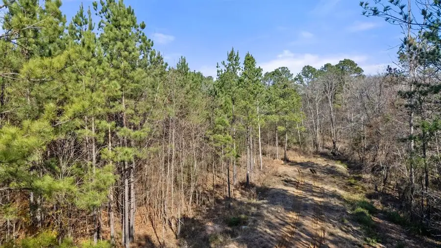 323 Marked Pine Lane, Broken Bow, OK 74728 - #2