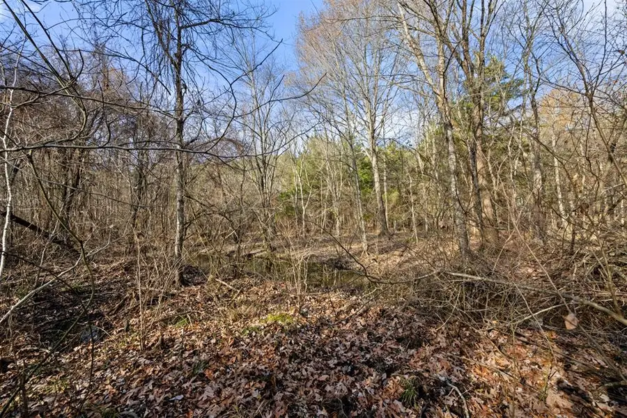 316 Marked Pine Lane, Broken Bow, OK 74728 - #3