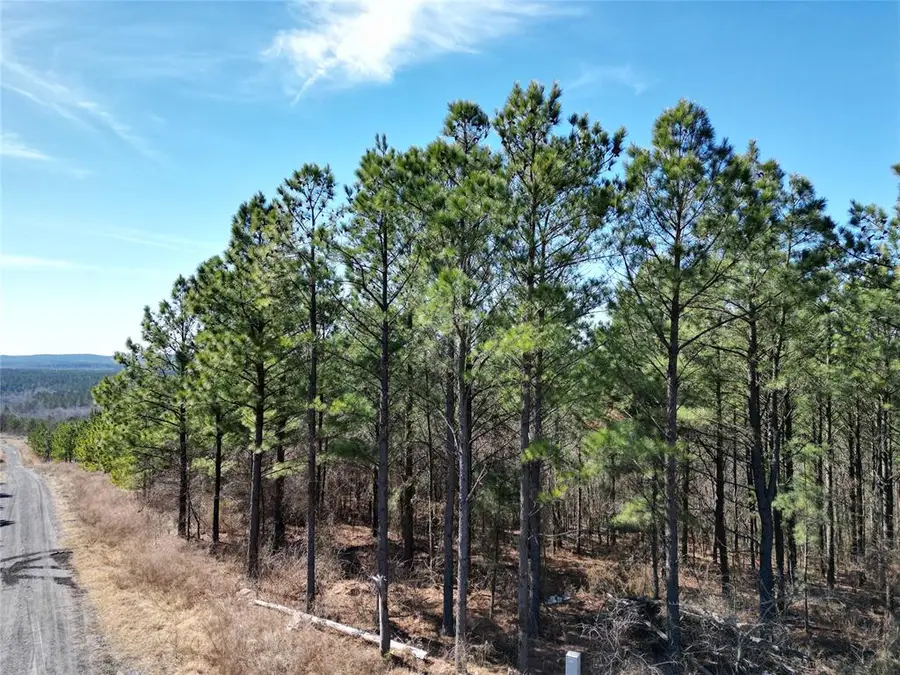 484 Lukfata Fork Trail, Broken Bow, OK 74728 - #3