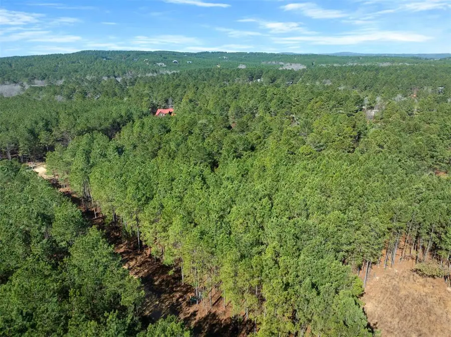 47 Hochadogwood Trail, Broken Bow, OK 74728 - #2