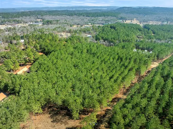 127 Hochadogwood Trail, Broken Bow, OK 74728