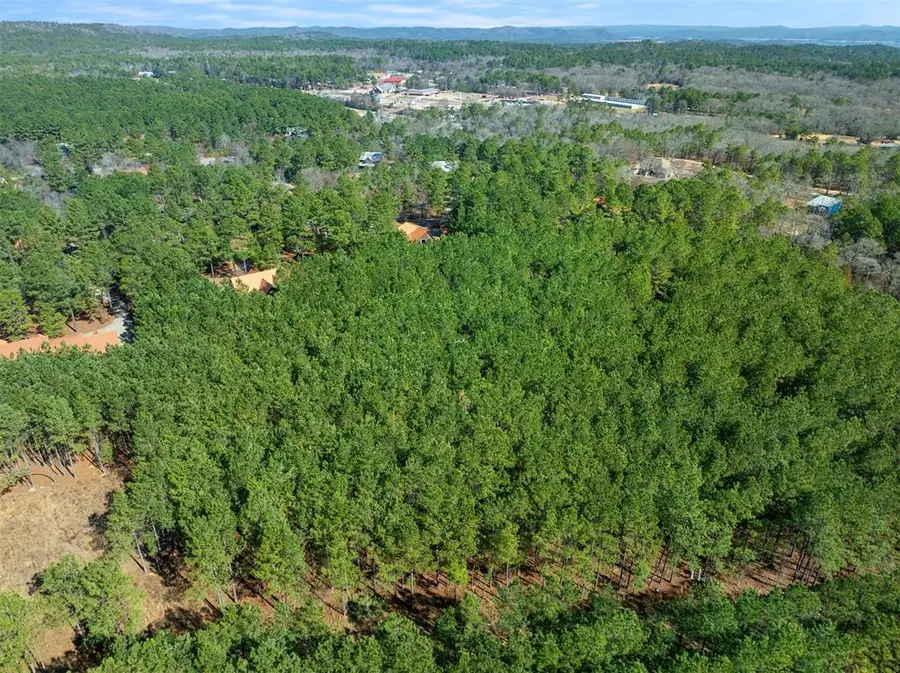 127 Hochadogwood Trail, Broken Bow, OK 74728 - #2