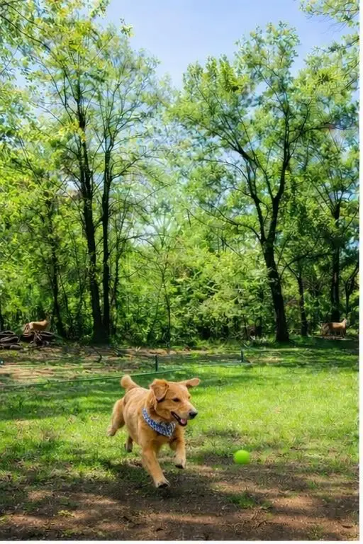 11901 Woodcrest, Guthrie, OK 73044 - #3