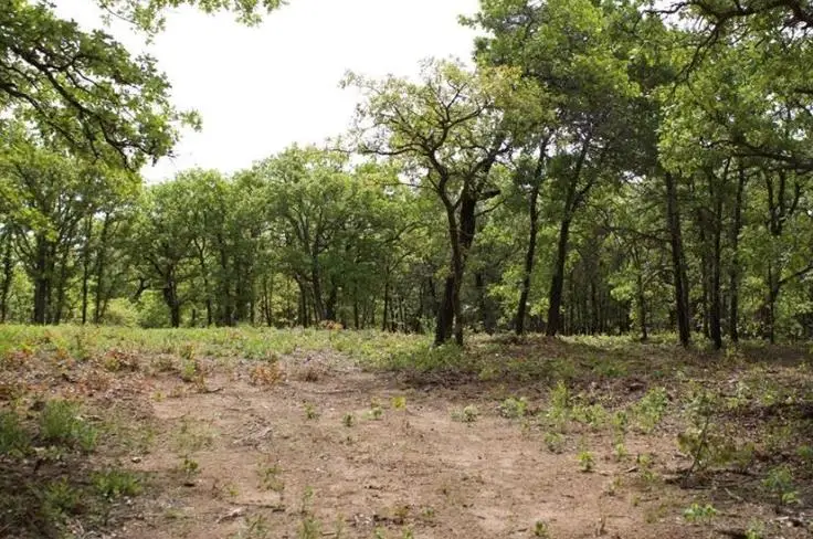 16675 Magwood Street, Lexington, OK 73051 - #3