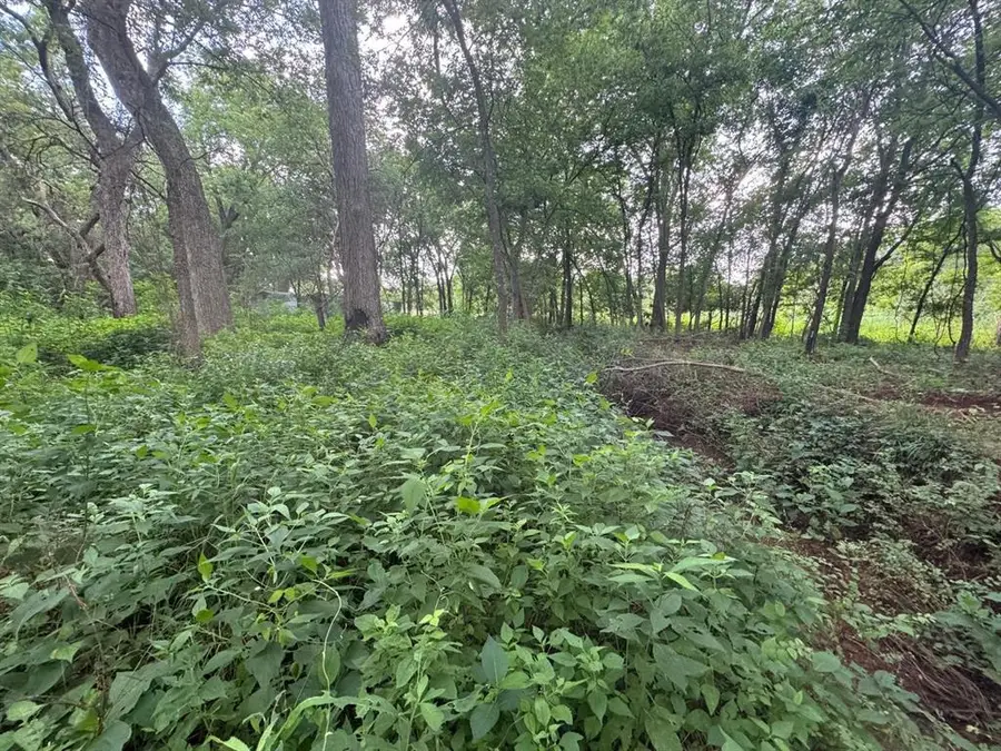 Pecan Valley Lot 60 Road, Tecumseh, OK 74873 - #3