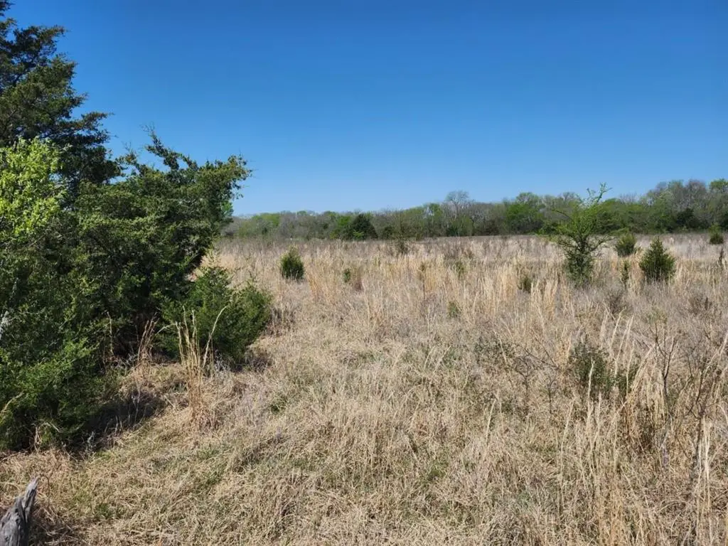 0000 Cyrus Harris Road Road, Mill Creek, OK 74856 - #1