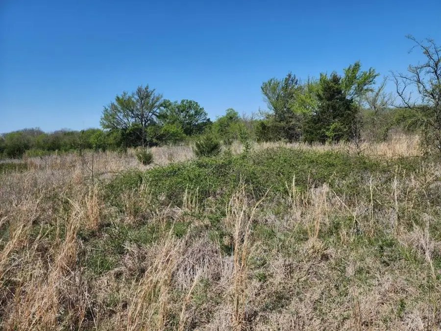 0000 Cyrus Harris Road Road, Mill Creek, OK 74856 - #3