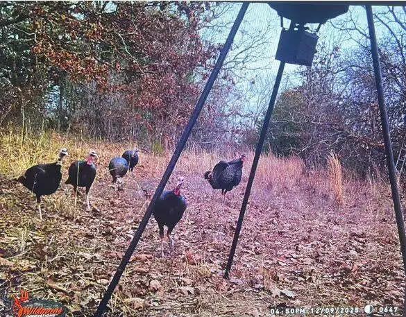 3576 Road, Seminole, OK 74868