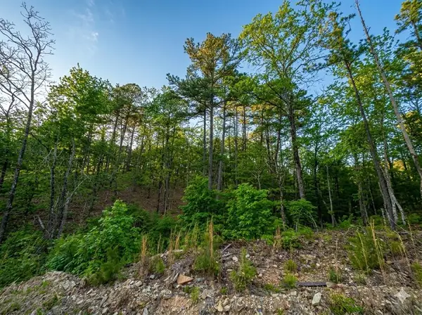 63 Western Cedar Trail, Broken Bow, OK 74728