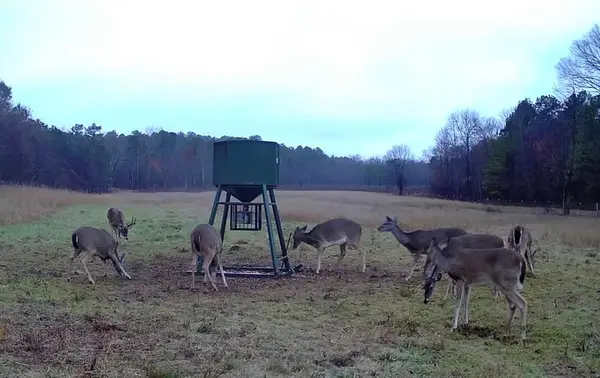 6536 Hudson Creek, Watson, OK 74957