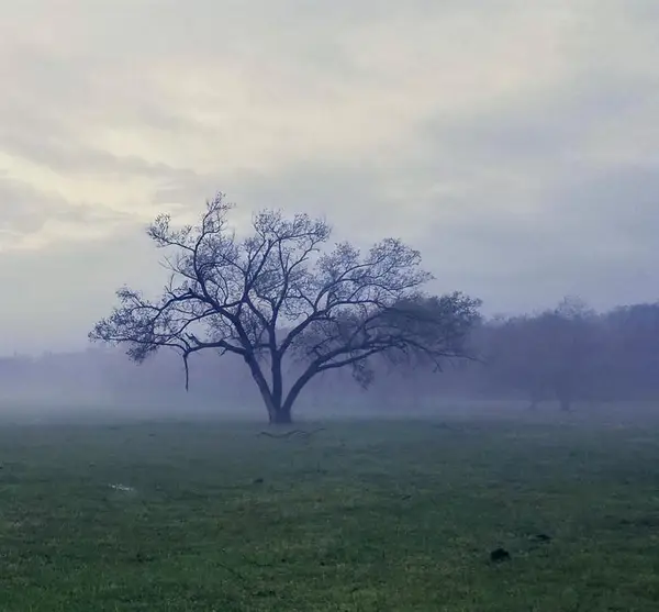 0 E Britton Road, Harrah, OK 73045