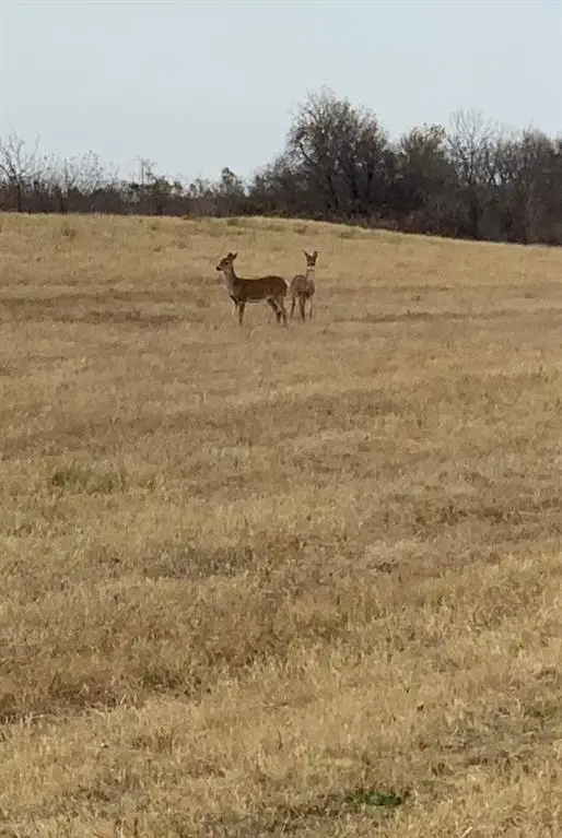 29594 S 160th Street, Wayne, OK 73095 - #3