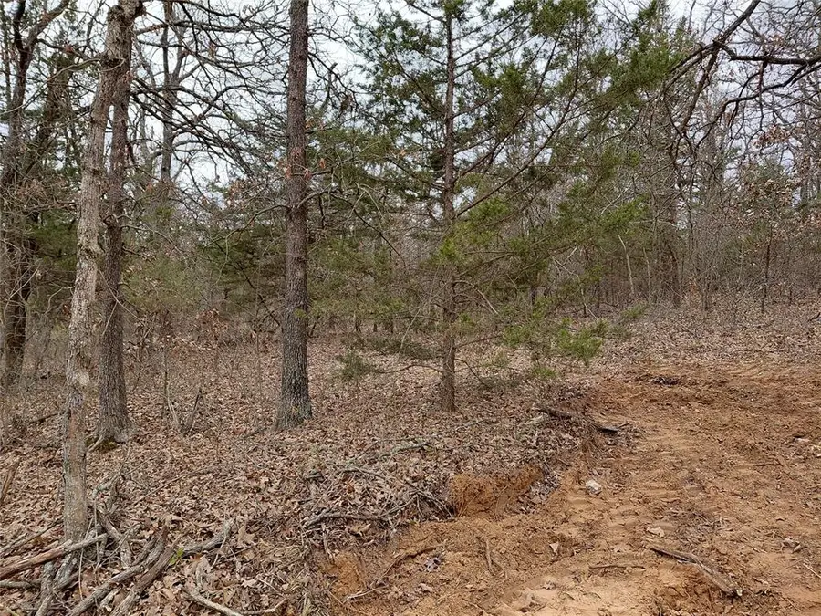 Arcadia Court, Guthrie, OK 73044 - #2