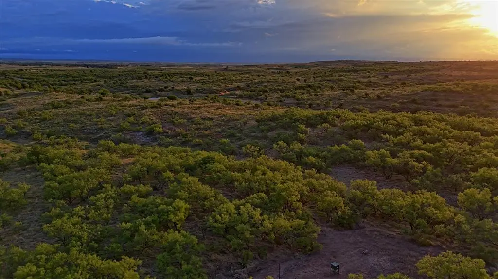 65 N 1870 Rd, Mangum, OK 73550 - #1