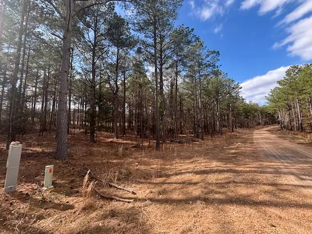 15 Middle Meddock Lane, Broken Bow, OK 74728 - #2