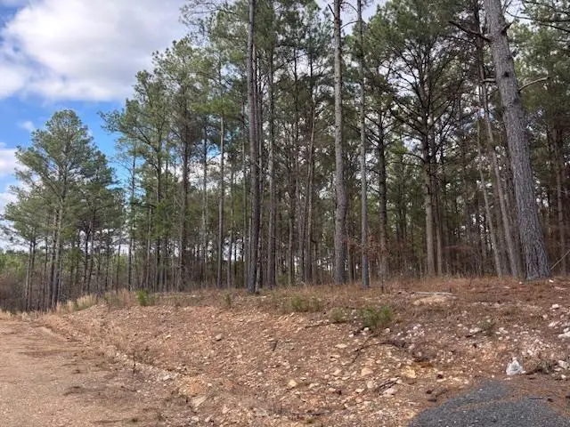 106 Turkey Roost Trail, Broken Bow, OK 74728 - #2