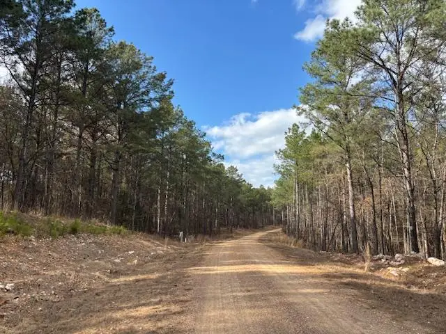 2 N Sunset Bluff, Broken Bow, OK 74728 - #2