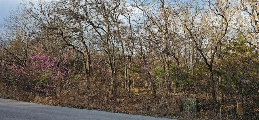 Bode Road, Choctaw, OK 73020 - #3