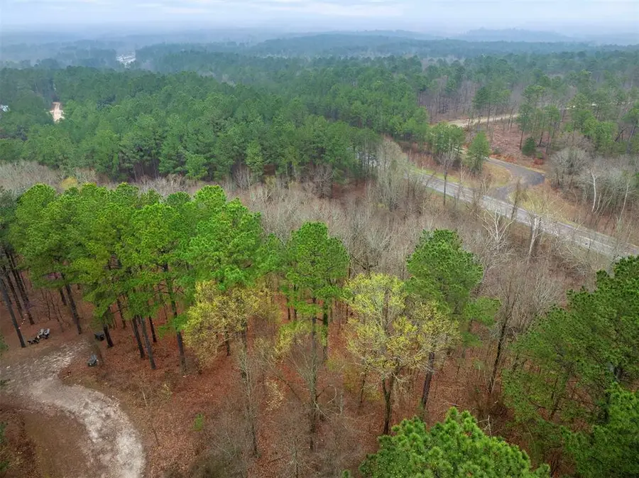 685 Long Pine Trail, Broken Bow, OK 74728 - #2