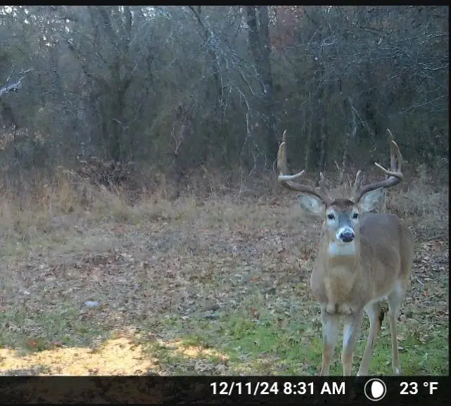 0000 Camelback Road, Elmore City, OK 73433 - #3