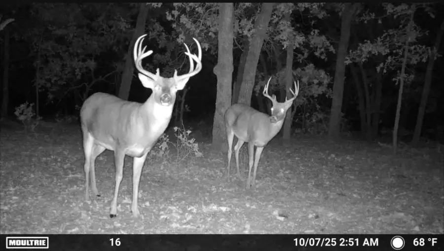 Hwy 76, Elmore City, OK 73433 - #3