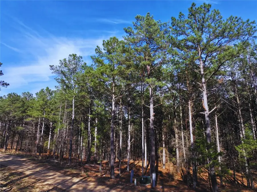 212 Watson Run, Broken Bow, OK 74728 - #2