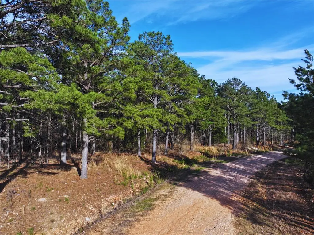 186 Watson Run, Broken Bow, OK 74728 - #1