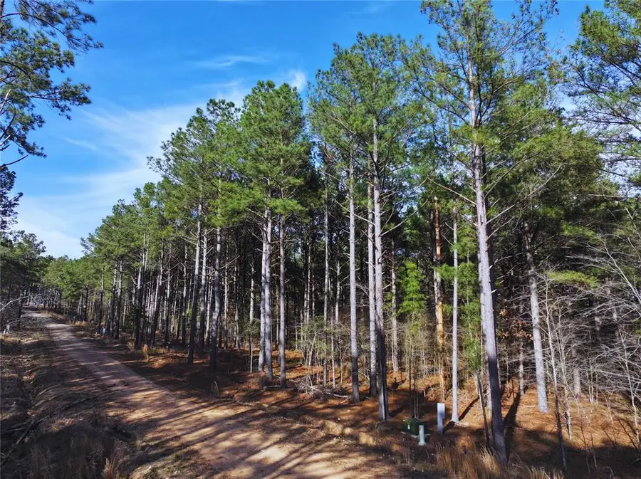 186 Watson Run, Broken Bow, OK 74728 - #2