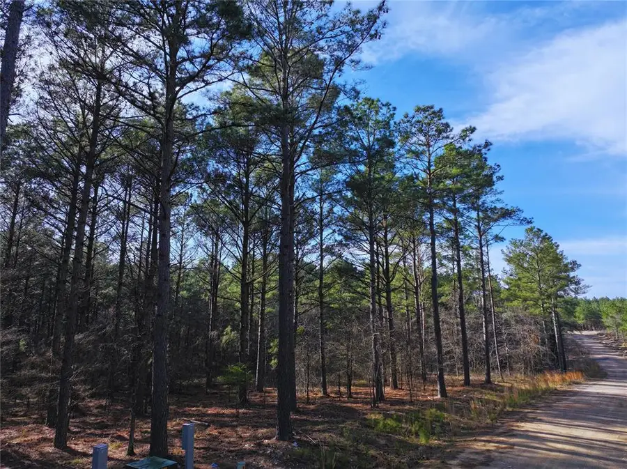 152 Turkey Roost Trail, Broken Bow, OK 74728 - #2