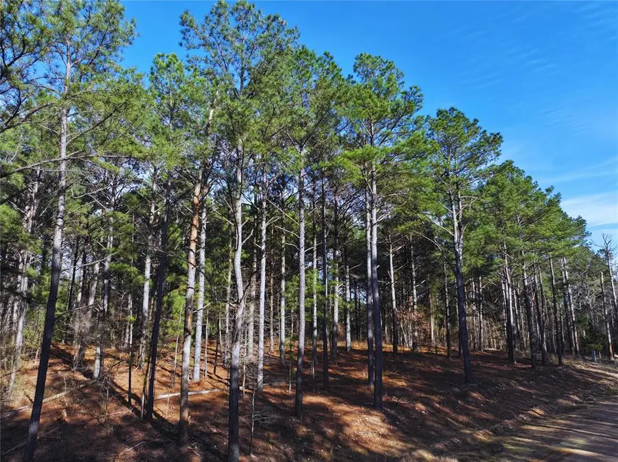 152 Turkey Roost Trail, Broken Bow, OK 74728 - #3