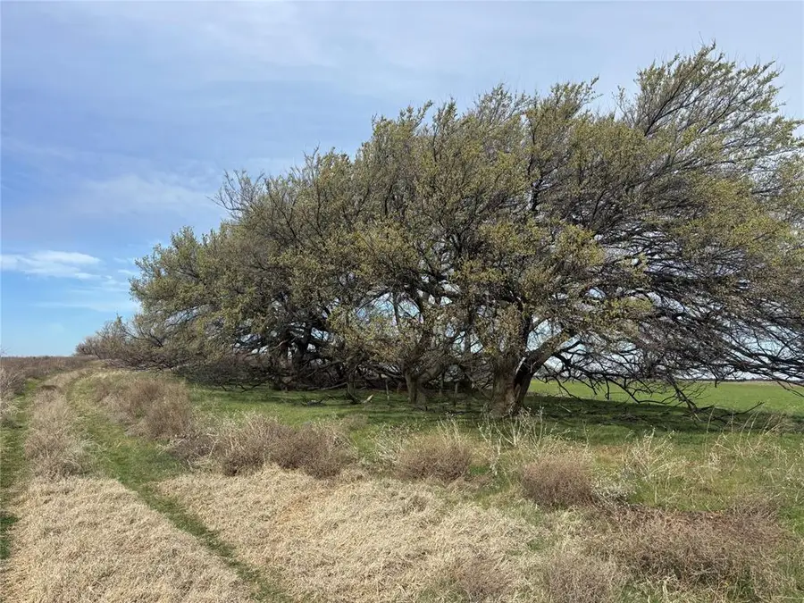 Country Road 450, Aline, OK 73716 - #3