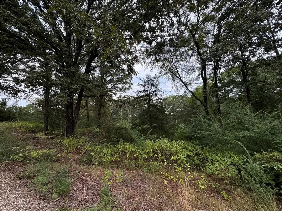 481 Pine Lake Road, Broken Bow, OK 74728 - #2