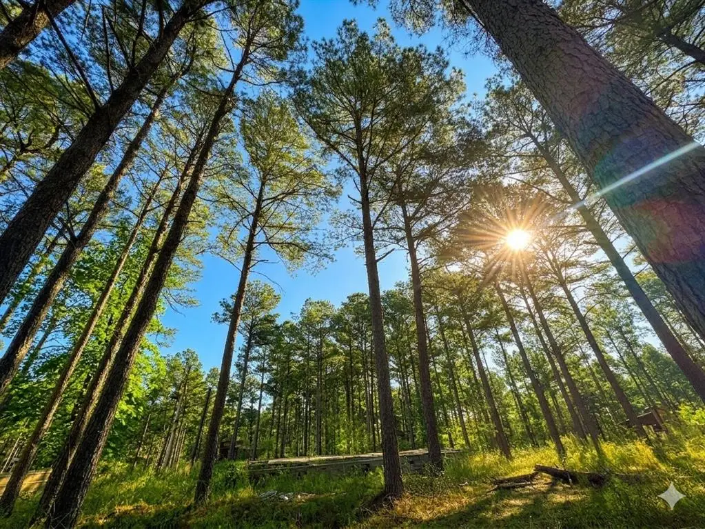 114 Alumacraft Trail, Broken Bow, OK 74728 - #1