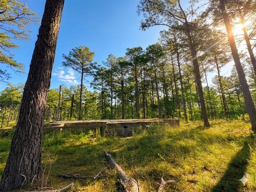 114 Alumacraft Trail, Broken Bow, OK 74728 - #2