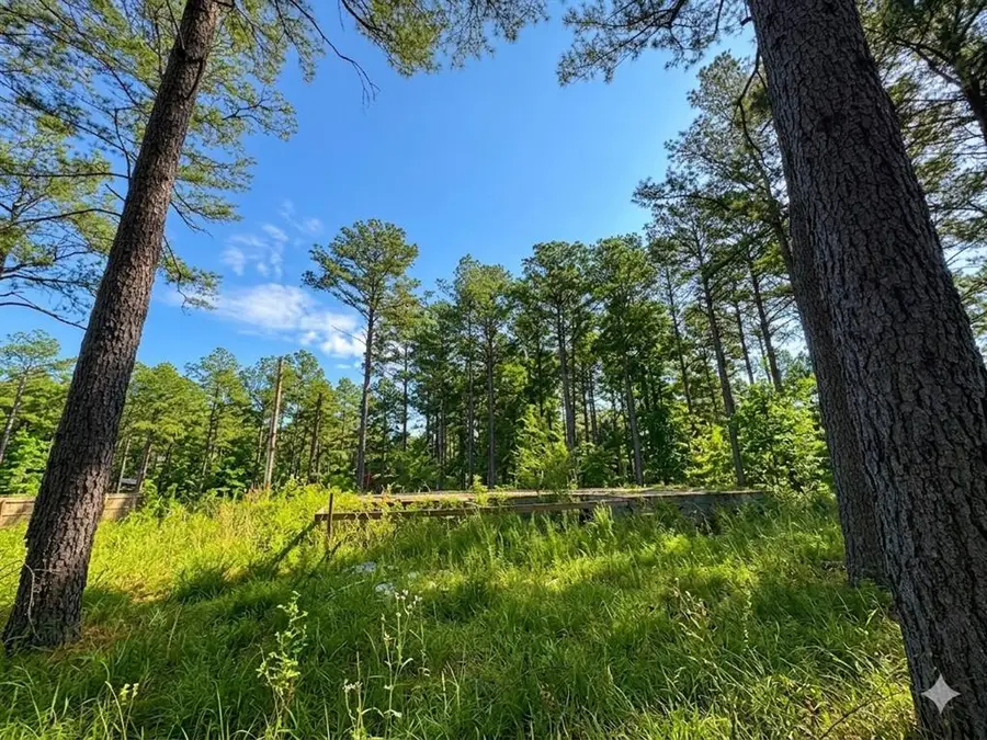 114 Alumacraft Trail, Broken Bow, OK 74728 - #3