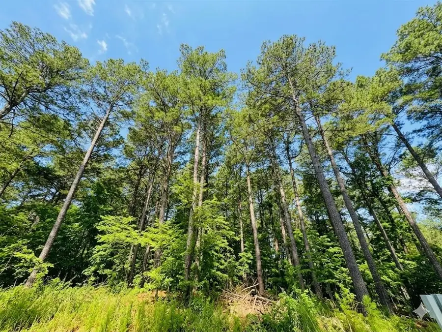 23 Alumaweld Lane, Broken Bow, OK 74728 - #3