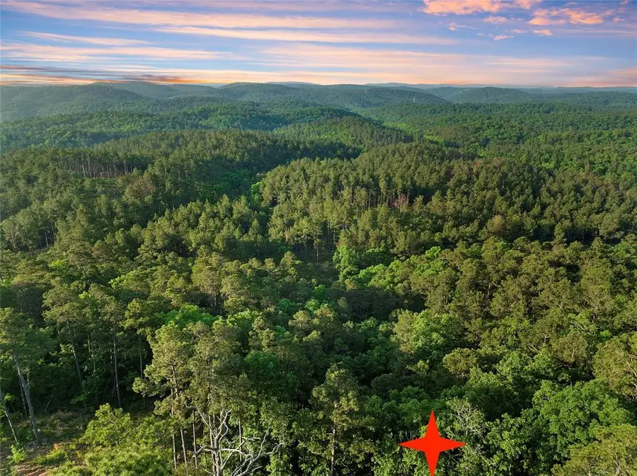 278 Vista Del Lago Trail, Broken Bow, OK 74728 - #3