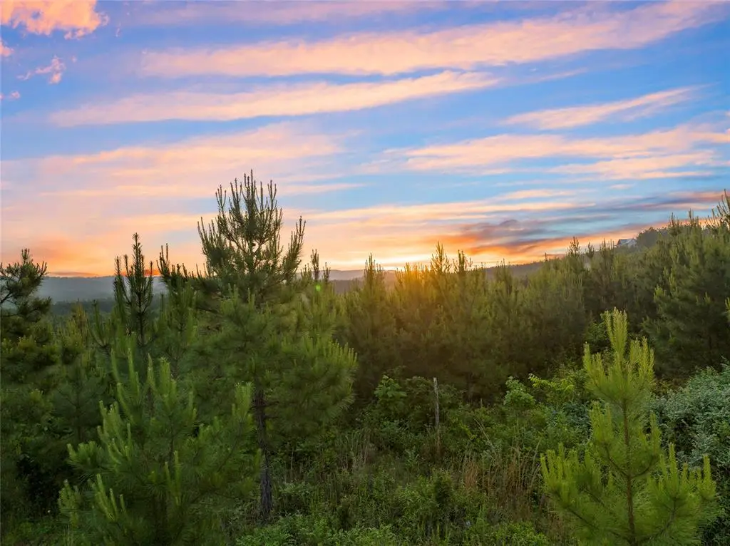 393 Overcup Oak Trail, Broken Bow, OK 74728 - #1