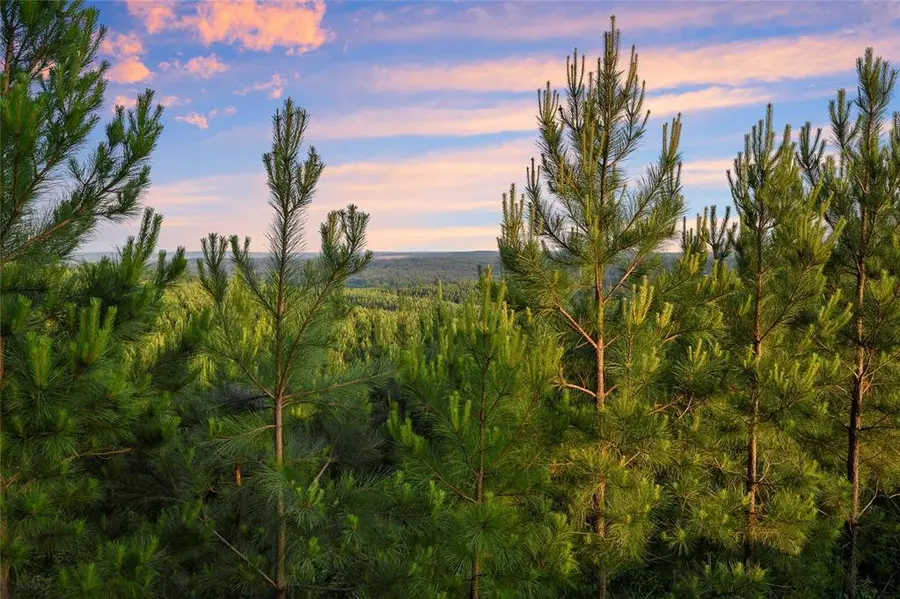 335 Monterey Oak Trail, Broken Bow, OK 74728 - #2