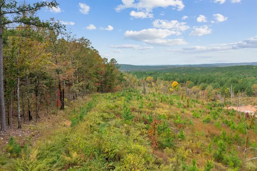 48 Rose Tree Trail, Broken Bow, OK 74728 - #2