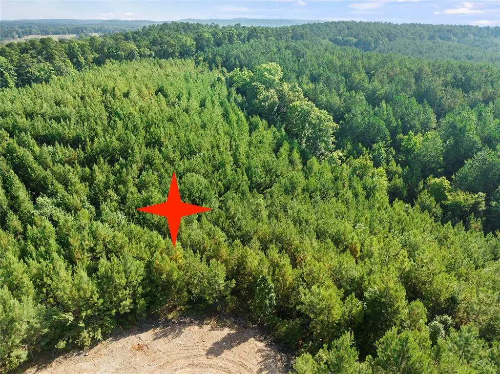 124 Legacy Point Trail, Broken Bow, OK 74728 - #1