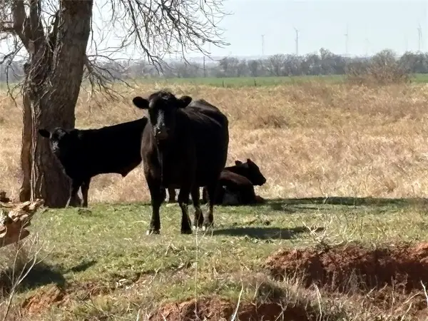 100 E County Road 600 Road, Marshall, OK 73056