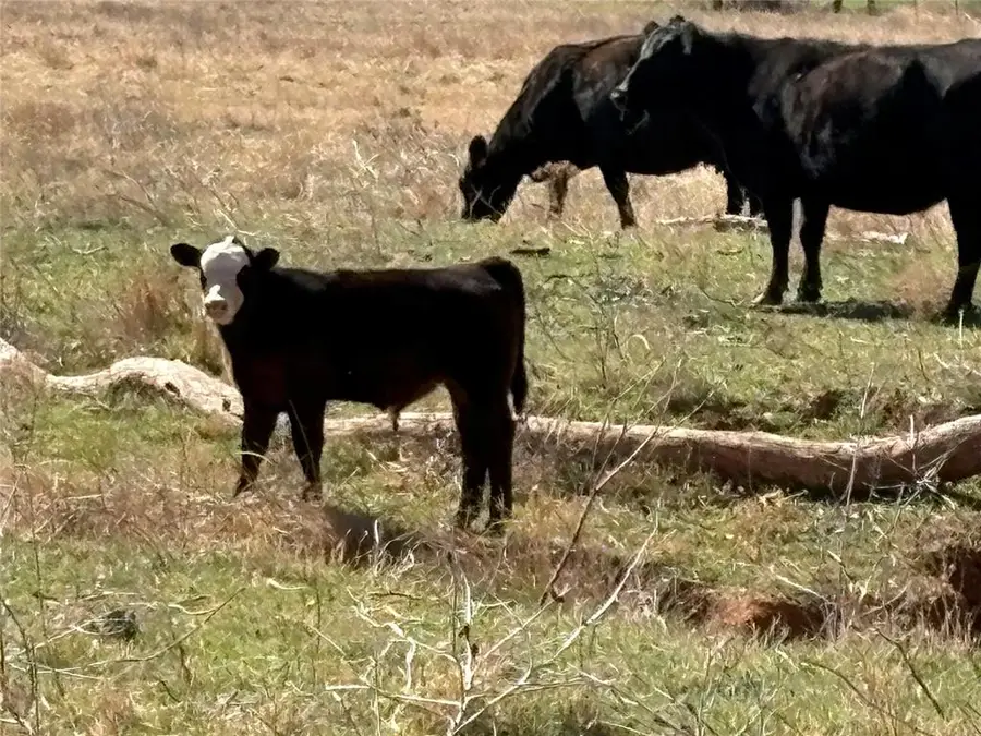 100 E County Road 600 Road, Marshall, OK 73056 - #2