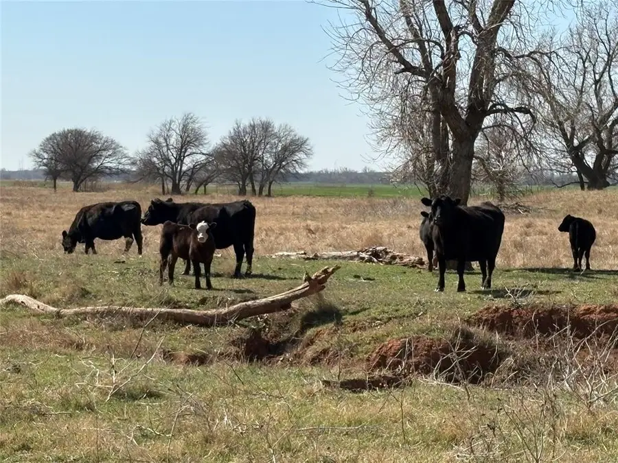 100 E County Road 600 Road, Marshall, OK 73056 - #3