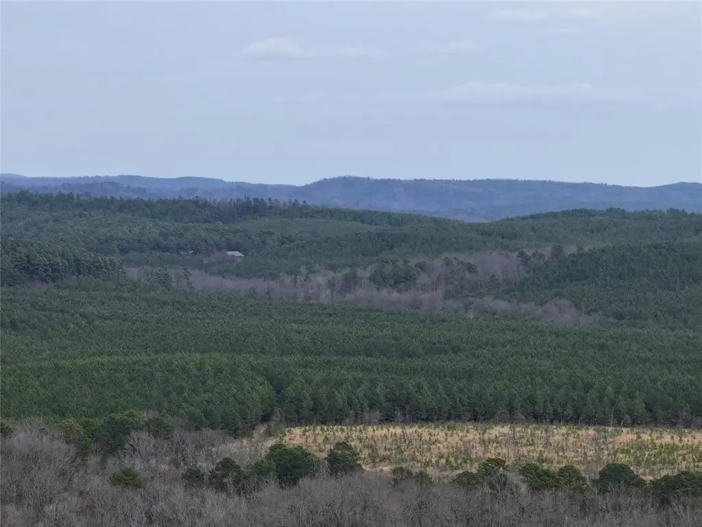 50 Canvasback Trail, Battiest, OK 74728 - #1