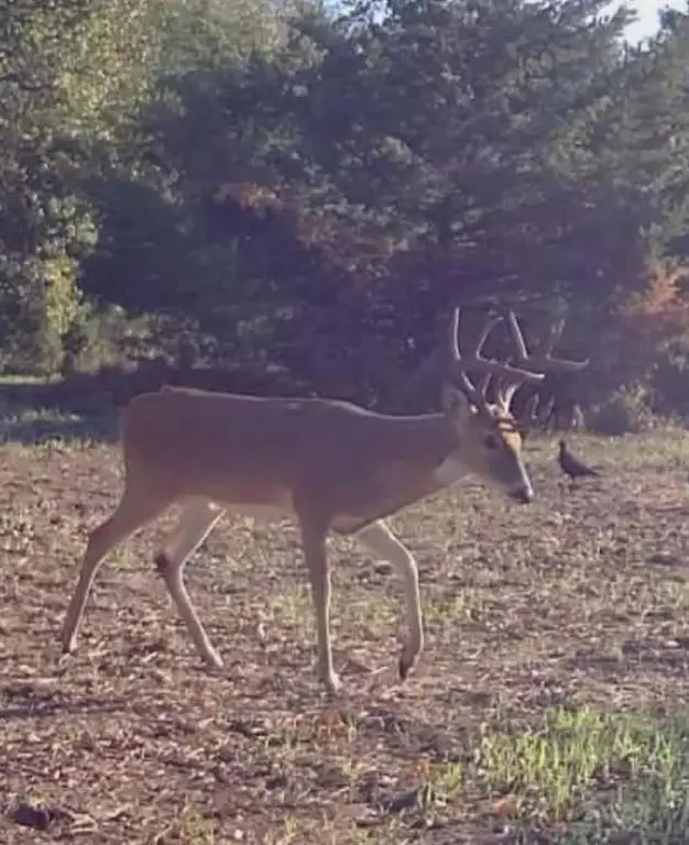 23444 Okay Road, Tecumseh, OK 74873 - #1