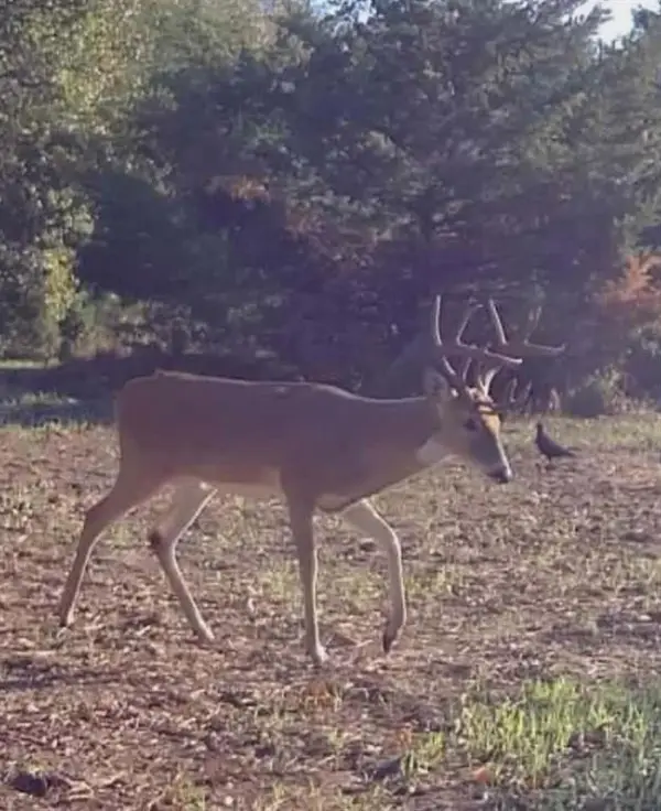 23444 Okay Road, Tecumseh, OK 74873